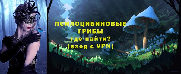 дживик Михайловск
