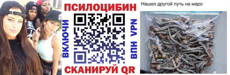 Галлюциногенные грибы Psilocybine cubensis  купить закладку  Абакан 